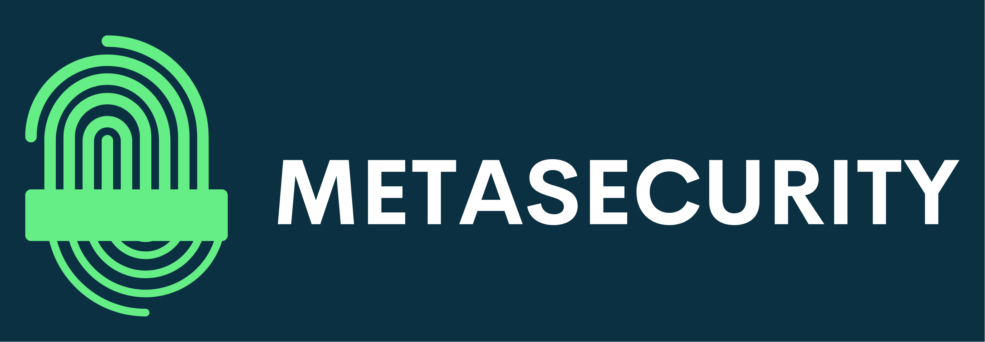 metasecurity