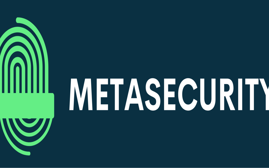 Metasecurity