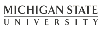 michigan-university